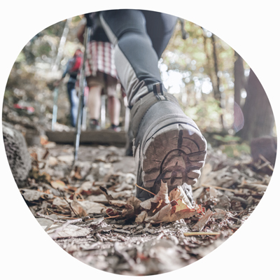 FLOW_Fasten_at_Retreat_Natur_AdobeStock_242166938